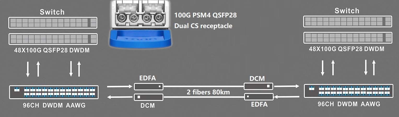 100G PSM4 DWDM